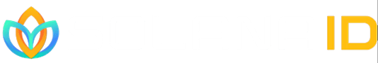 Solana Id's logo